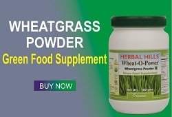 wheatgrass powder