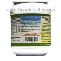 Herbal Hills Wheat-O-Power (Wheatgrass Powder) 100 Grams