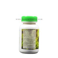 Vibha Lipex Powder (Slimming Herbal Powder) 50 Grams