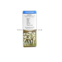 Vibha Pronto Massage Oil 50 ml (Male Libido Enhancer)