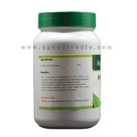 Ashtang Amala Churna 100gms (Vitamin C, Iron and Calcium) Indian Gooseberry