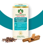 Maharishi Prandhara 3 ML Front