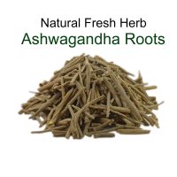 Ashwagandha (Withania Somnifera) - Indian Ginseng