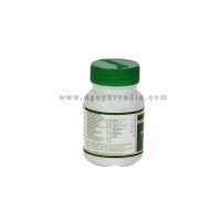 Punarvasu Punarnavadi Mandur Vati 60 Tablets