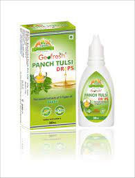Organic Dehydrated Foods Geofresh Panch Tulsi Drops 2