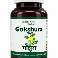 ASHTANG GOKHSHURA  60 TABLETS