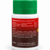 ASHTANG SHILARAS VATI 60 TABLETS