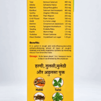 ASHTANG COUGHNEEL SYRUP 100 ML