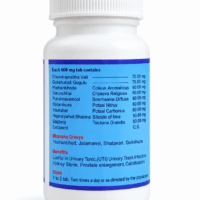 ASHTANG STONEEL 60 TABLETS