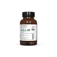 Dr. Patkar's Green Tea Capsules 3