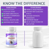 DIABO RHUSHI Tablets 60Tablets