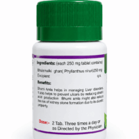 Ashtang Herbals Bhumyamalaki 60 Tablets